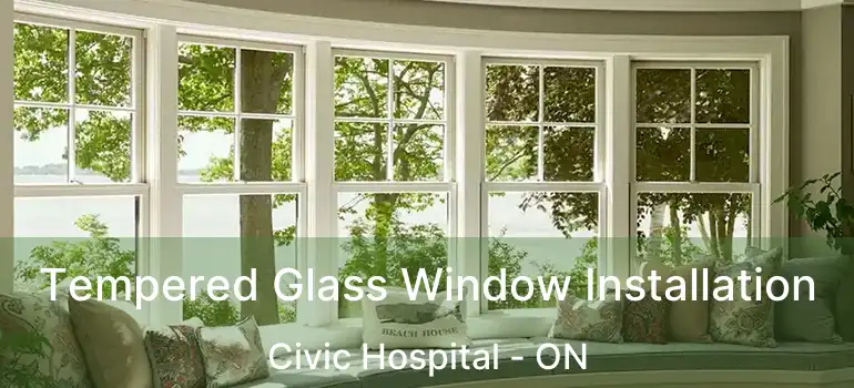  Tempered Glass Window Installation Civic Hospital - ON