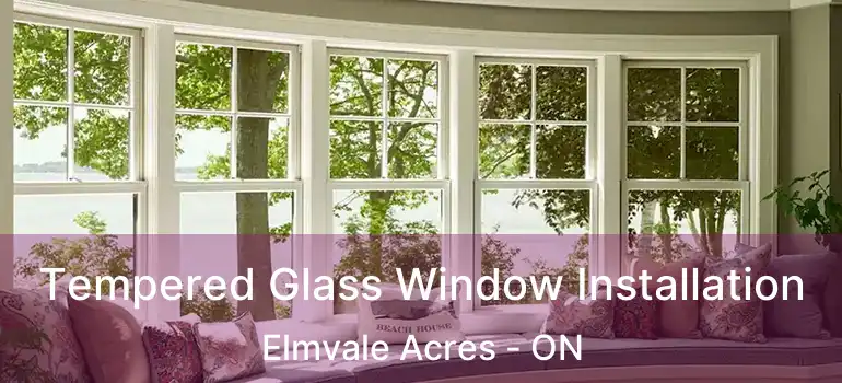  Tempered Glass Window Installation Elmvale Acres - ON