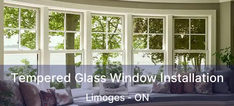  Tempered Glass Window Installation Limoges - ON