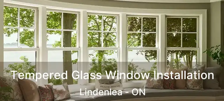  Tempered Glass Window Installation Lindenlea - ON