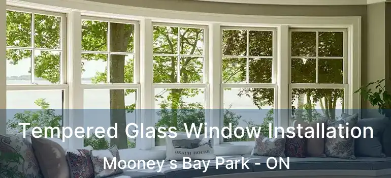  Tempered Glass Window Installation Mooney s Bay Park - ON