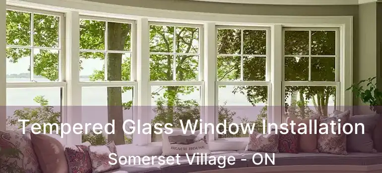  Tempered Glass Window Installation Somerset Village - ON