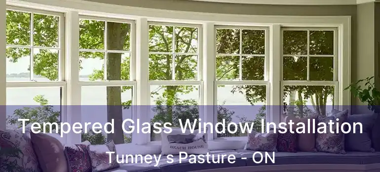  Tempered Glass Window Installation Tunney s Pasture - ON