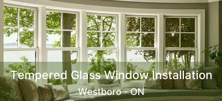  Tempered Glass Window Installation Westboro - ON