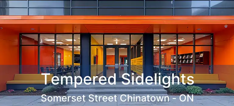  Tempered Sidelights Somerset Street Chinatown - ON