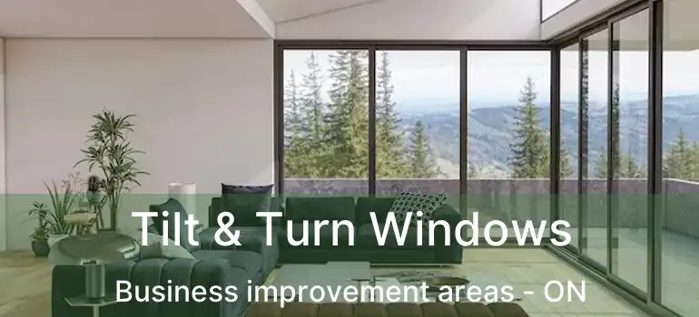  Tilt & Turn Windows Business improvement areas - ON