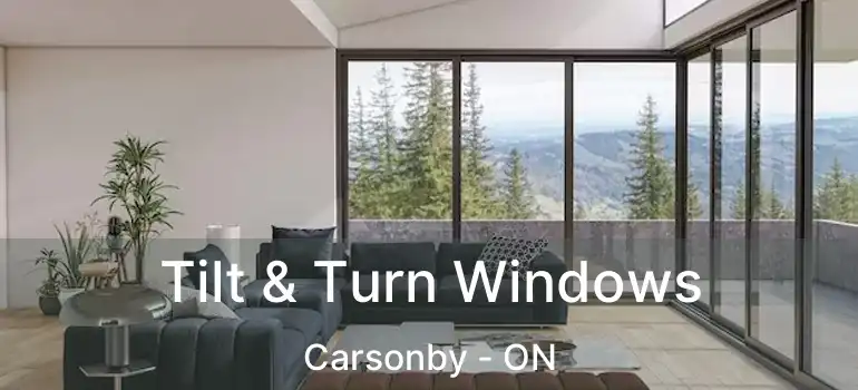  Tilt & Turn Windows Carsonby - ON