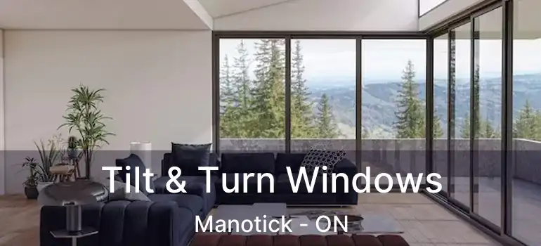  Tilt & Turn Windows Manotick - ON