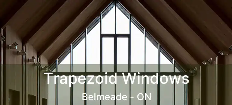  Trapezoid Windows Belmeade - ON