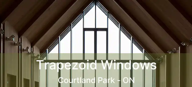  Trapezoid Windows Courtland Park - ON