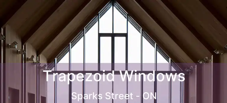  Trapezoid Windows Sparks Street - ON