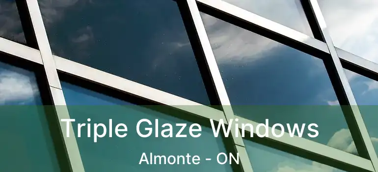  Triple Glaze Windows Almonte - ON