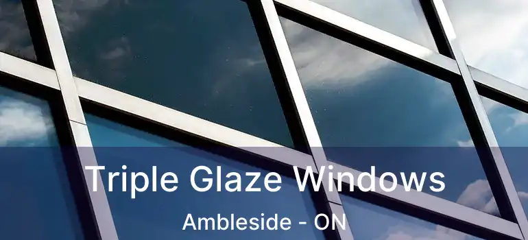  Triple Glaze Windows Ambleside - ON