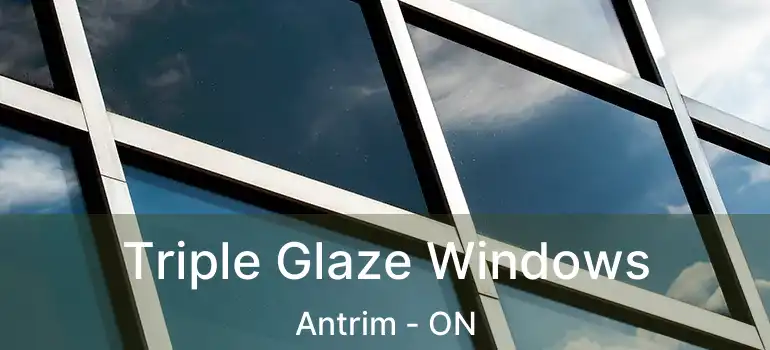  Triple Glaze Windows Antrim - ON