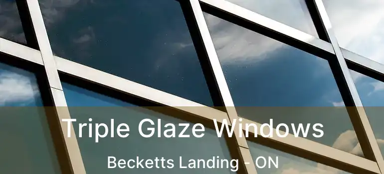  Triple Glaze Windows Becketts Landing - ON