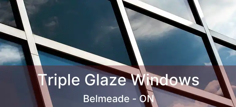  Triple Glaze Windows Belmeade - ON