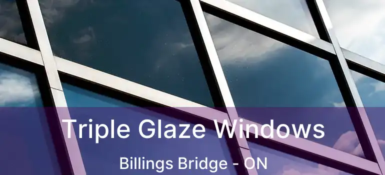  Triple Glaze Windows Billings Bridge - ON