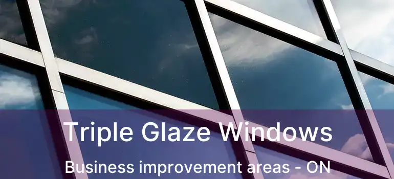  Triple Glaze Windows Business improvement areas - ON