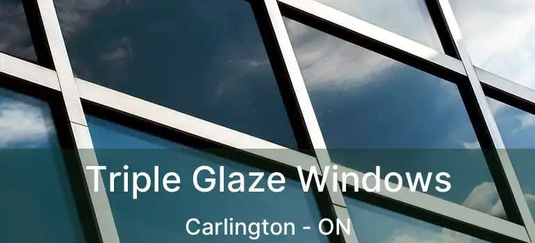  Triple Glaze Windows Carlington - ON