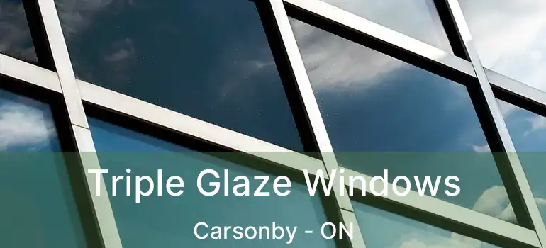  Triple Glaze Windows Carsonby - ON