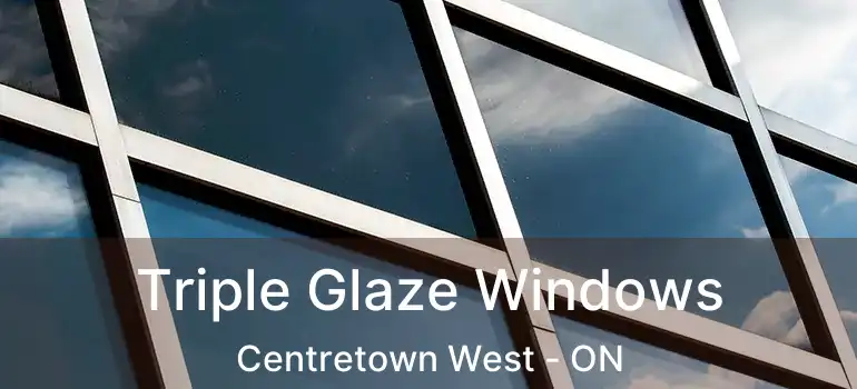  Triple Glaze Windows Centretown West - ON