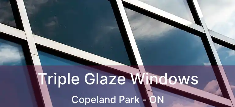  Triple Glaze Windows Copeland Park - ON