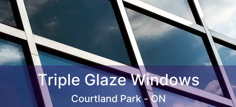  Triple Glaze Windows Courtland Park - ON