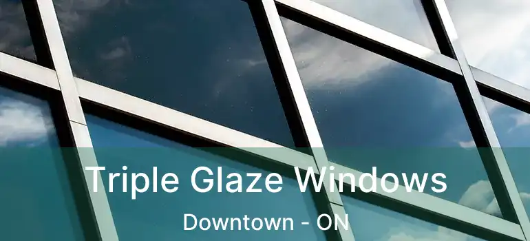  Triple Glaze Windows Downtown - ON