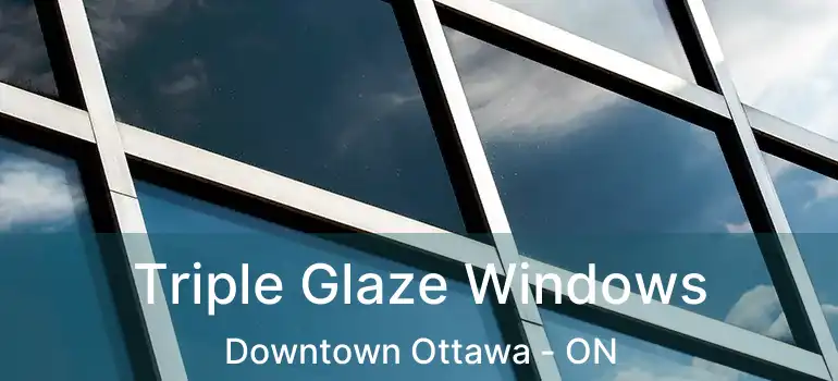  Triple Glaze Windows Downtown Ottawa - ON