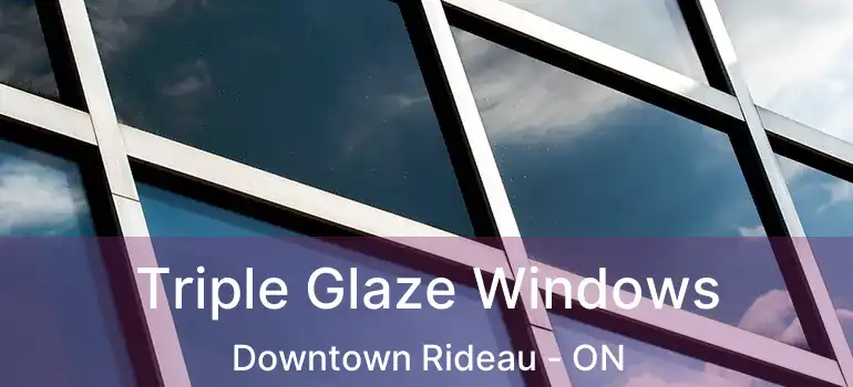  Triple Glaze Windows Downtown Rideau - ON