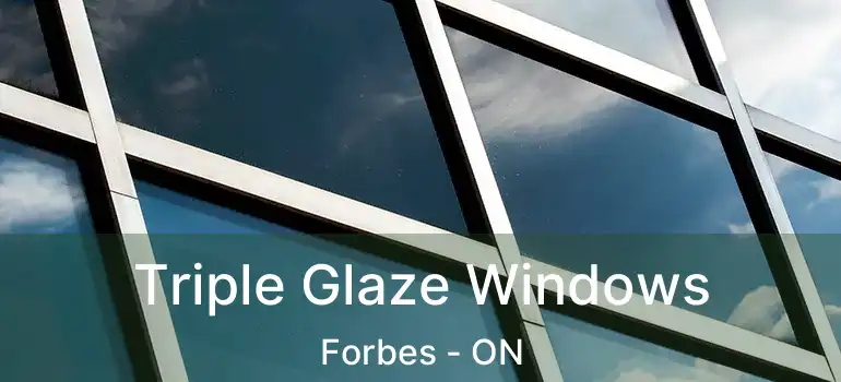  Triple Glaze Windows Forbes - ON