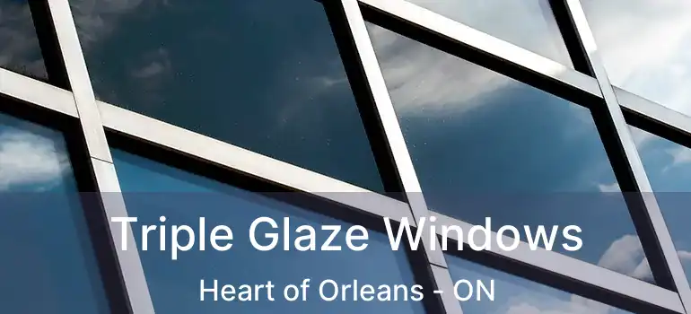  Triple Glaze Windows Heart of Orleans - ON