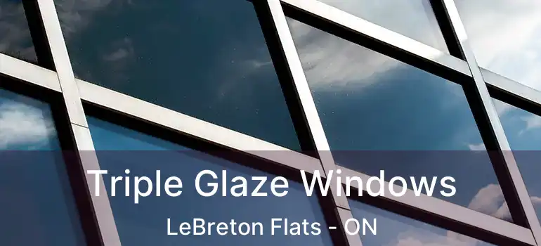  Triple Glaze Windows LeBreton Flats - ON