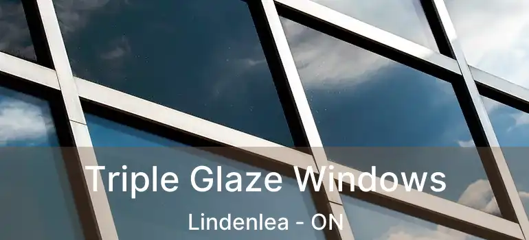  Triple Glaze Windows Lindenlea - ON