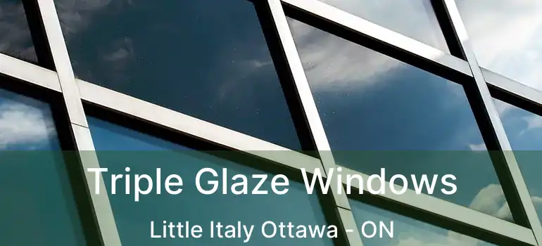  Triple Glaze Windows Little Italy Ottawa - ON