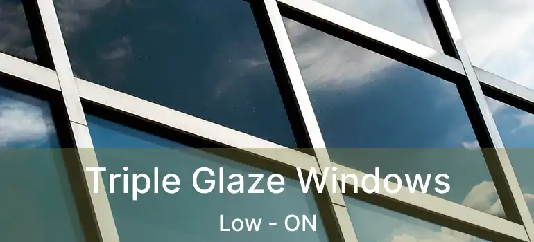  Triple Glaze Windows Low - ON