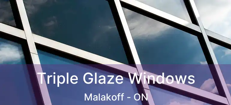  Triple Glaze Windows Malakoff - ON