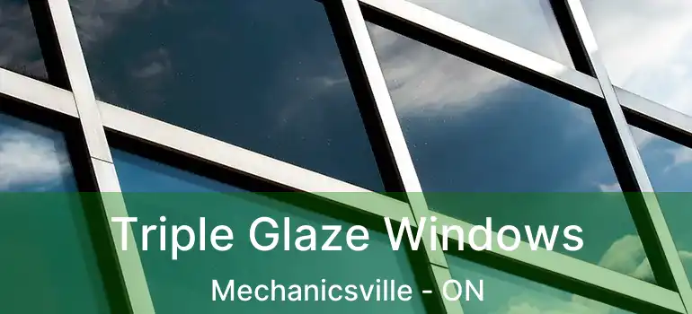  Triple Glaze Windows Mechanicsville - ON