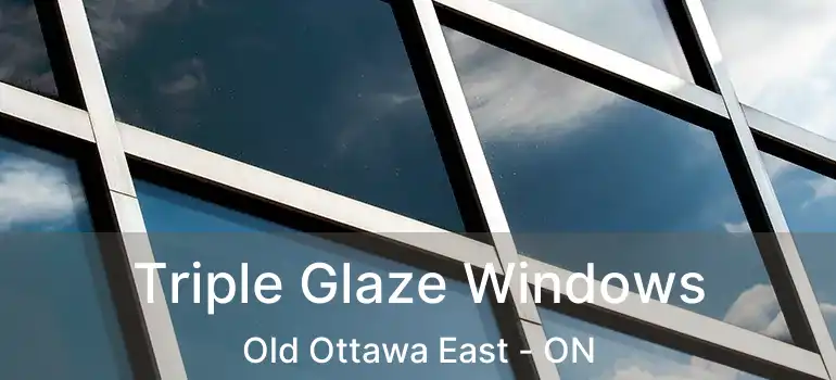  Triple Glaze Windows Old Ottawa East - ON