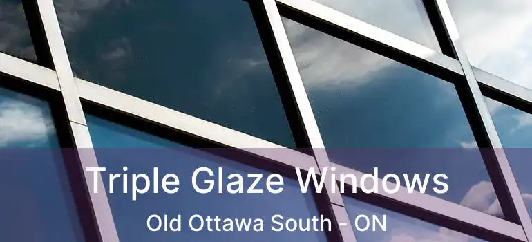  Triple Glaze Windows Old Ottawa South - ON