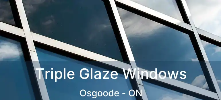  Triple Glaze Windows Osgoode - ON