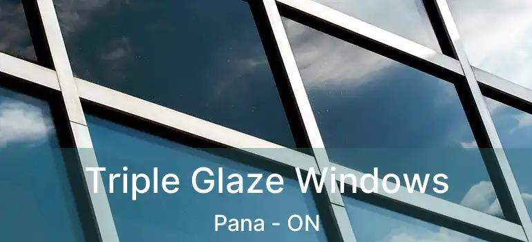  Triple Glaze Windows Pana - ON