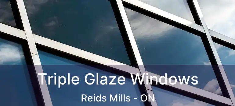  Triple Glaze Windows Reids Mills - ON