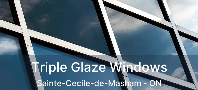  Triple Glaze Windows Sainte-Cecile-de-Masham - ON