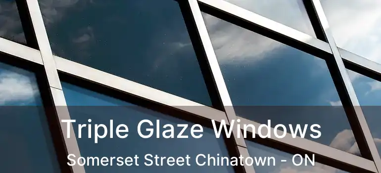  Triple Glaze Windows Somerset Street Chinatown - ON