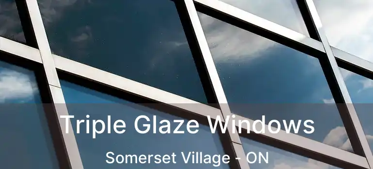  Triple Glaze Windows Somerset Village - ON