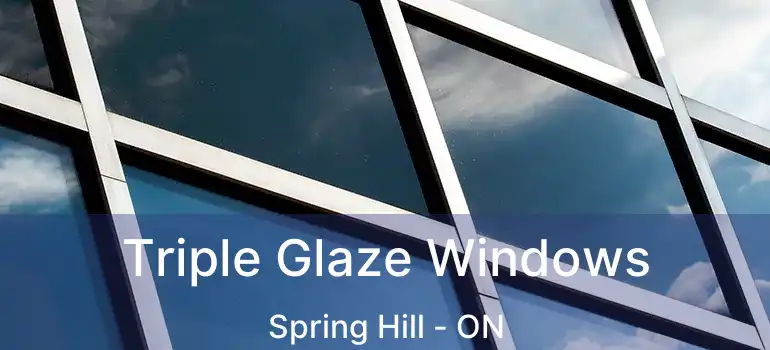  Triple Glaze Windows Spring Hill - ON