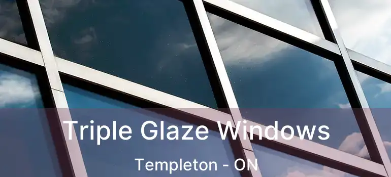  Triple Glaze Windows Templeton - ON