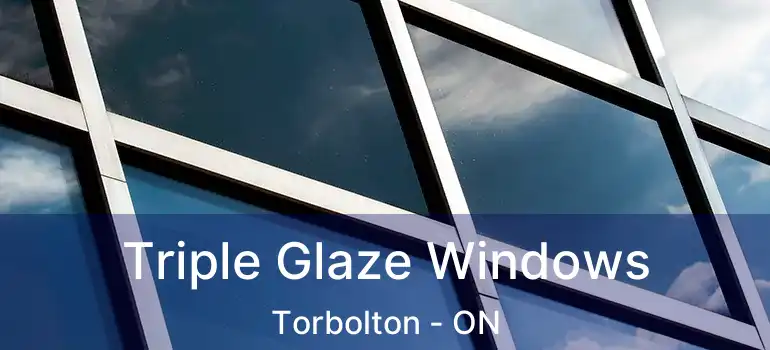  Triple Glaze Windows Torbolton - ON