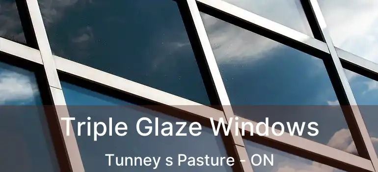  Triple Glaze Windows Tunney s Pasture - ON